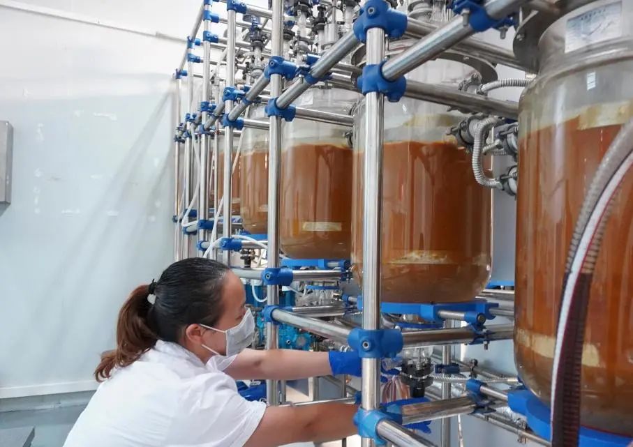 政策法規(guī)丨關于《危險化學品目錄（2015版）》涉及柴油部分內容的規(guī)定